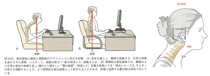 理想的な座位姿勢の作り方